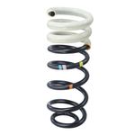 Foto principal -  - Internet