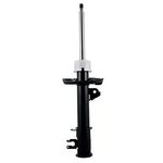 AMORTECEDOR DT PALIO 11/ LD